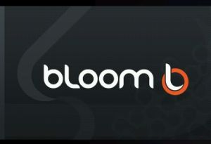Bloom Graphics